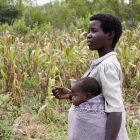 Maize farmer, Malawi